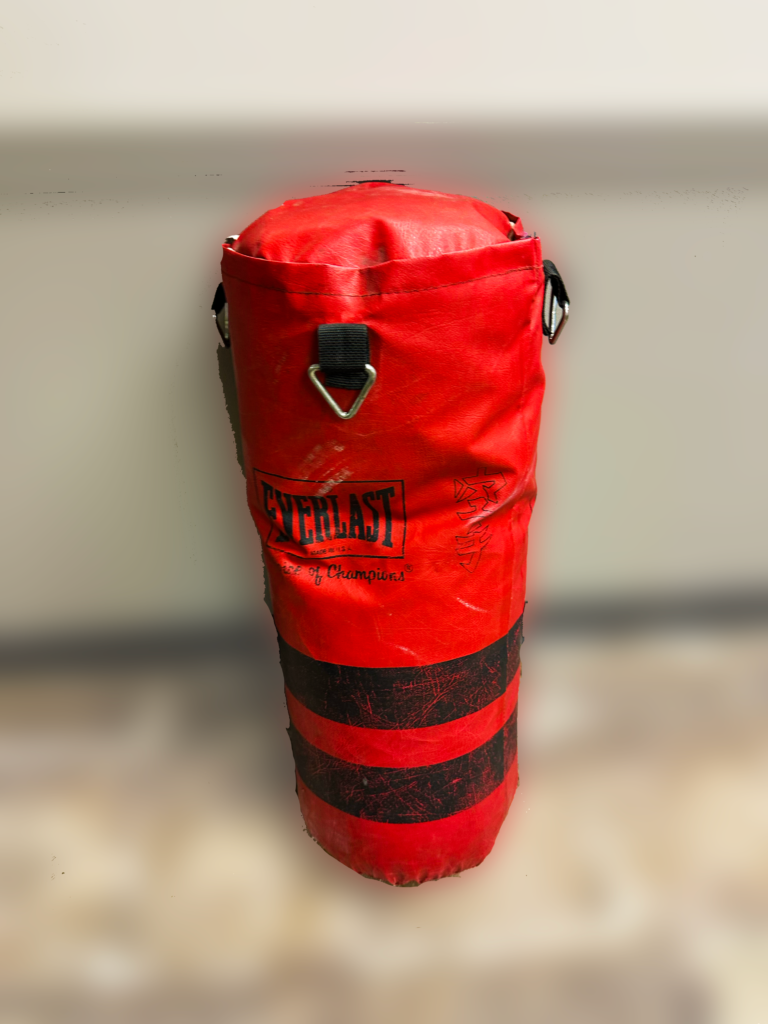 80lb punching bag for sale, $30